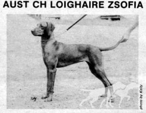 Loighaire Zsofia