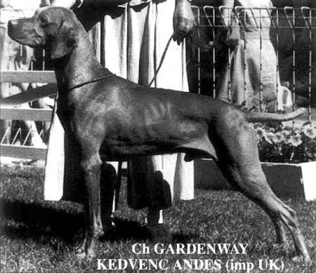Gardenway Kedvenc Andes