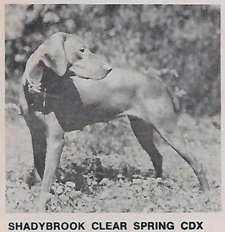 Shadybrook Clear Spring