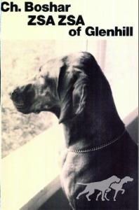 Boshar Zsa Zsa Of Glenhill