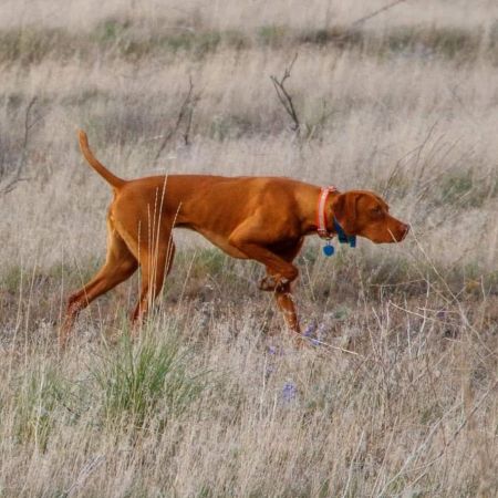 Alpine's Secret Cedar of the Coulee