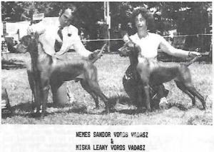 Miska Leany Voros Vadasz