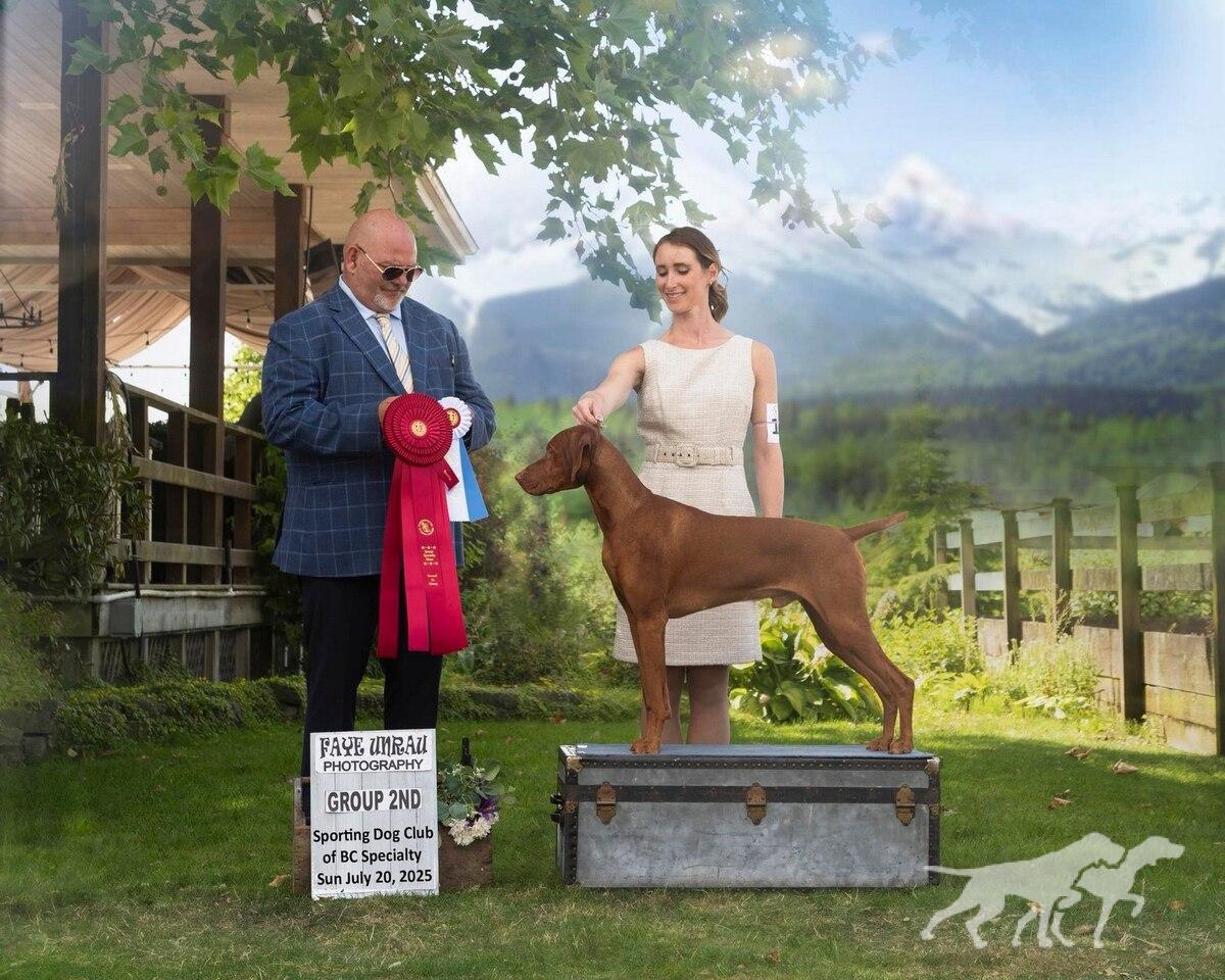 Upcountry's All The Right Moves