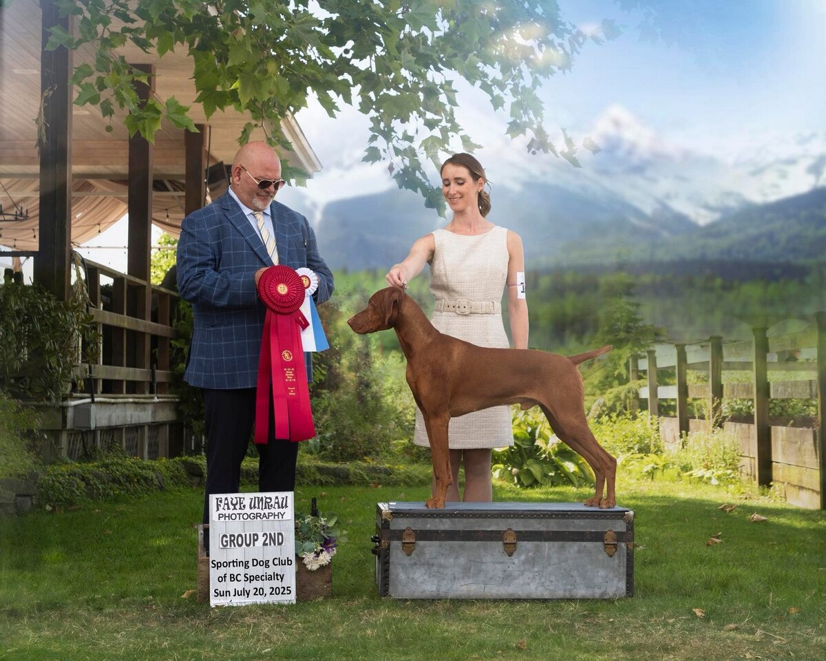 Upcountry's All The Right Moves