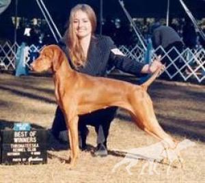 Valley Hunter's Penny Lane