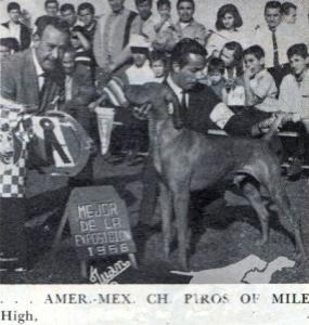 Piros Of Mile High