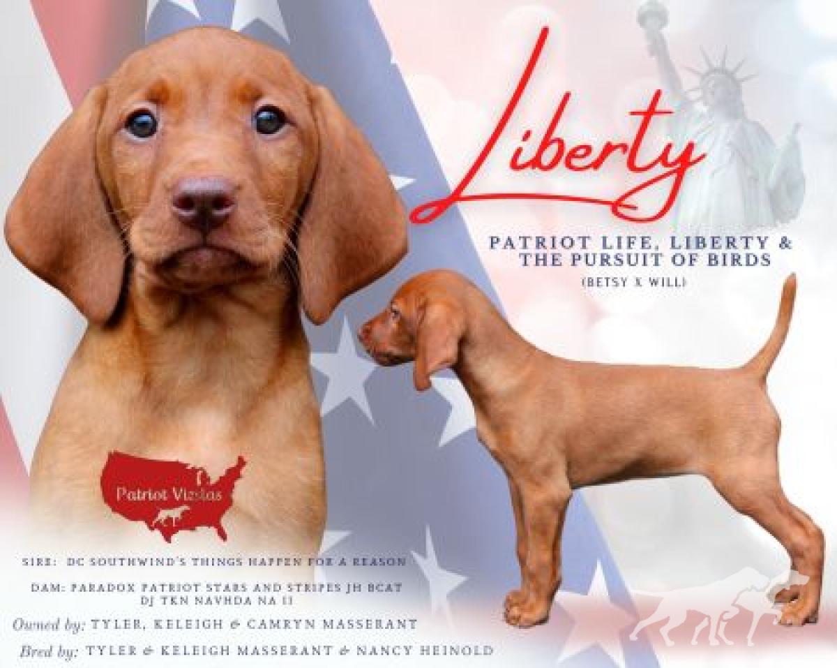 Patriot Life Liberty & The Pursuit Of Birds *
