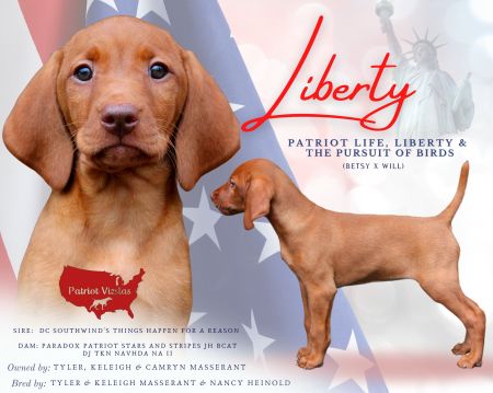 Patriot Life Liberty & The Pursuit Of Birds *