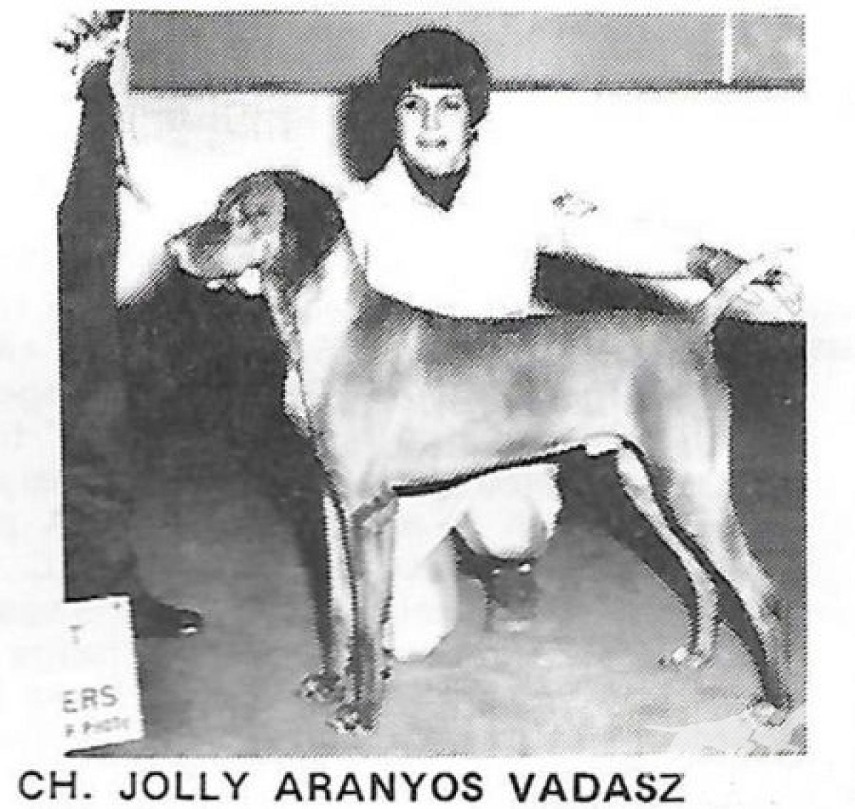 Jolly Aranyos Vadasz