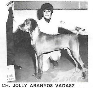 Jolly Aranyos Vadasz