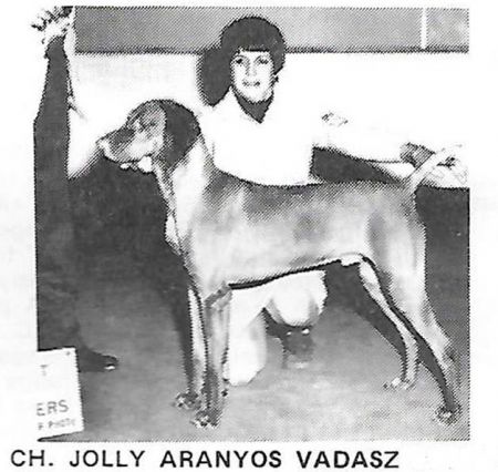 Jolly Aranyos Vadasz