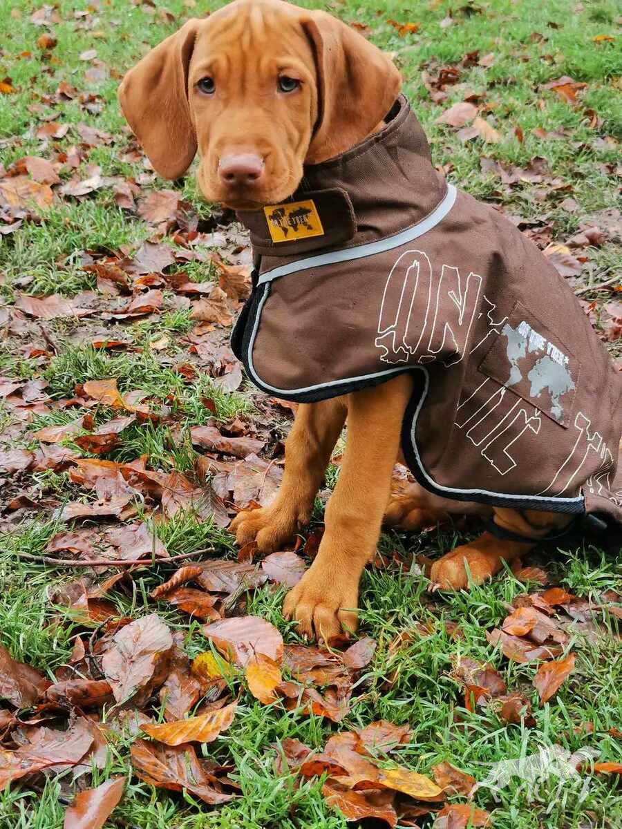 Lou (M 2023)