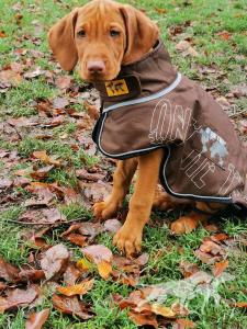 Lou (M 2023)