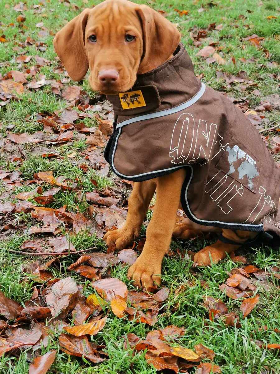 Lou (M 2023)