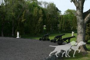 Database Dog / DB dog öäü óáúí''àìòù ' ÜÖÄ