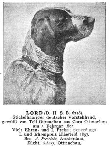 Lord Ottmachau (DSt)