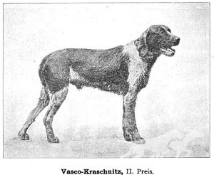 Vasco Kraschnitz (DSt)