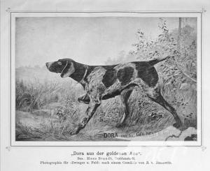 Dora aus der Goldenen aue (DK)