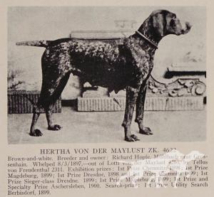 Hertha von der Maylust (DK)