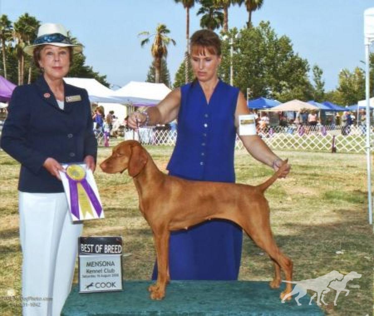 Mystik's Mahogany By The Bay