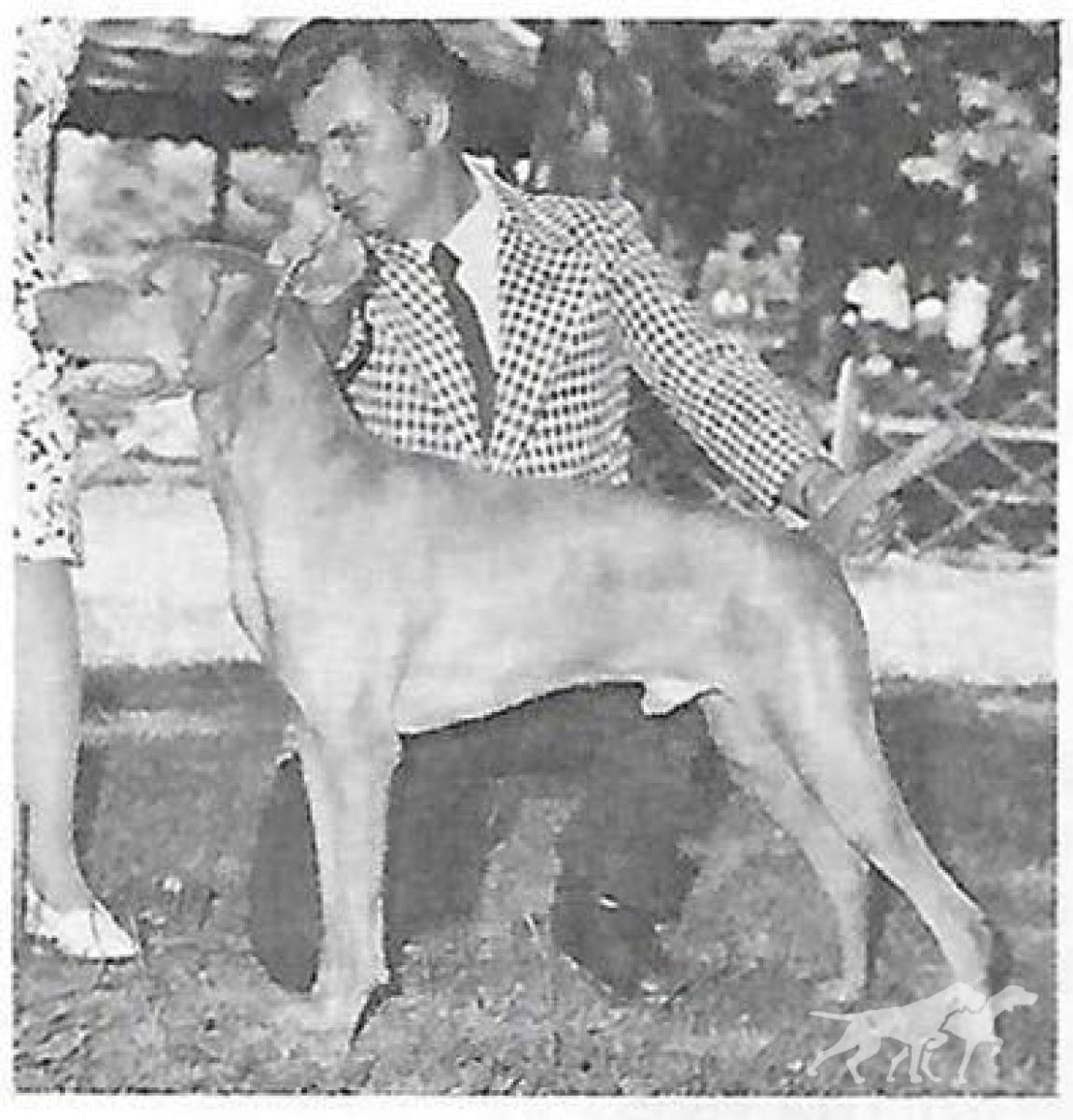 Anton Arany Victorffy