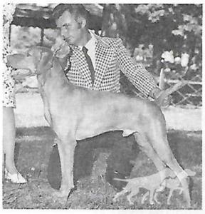 Anton Arany Victorffy