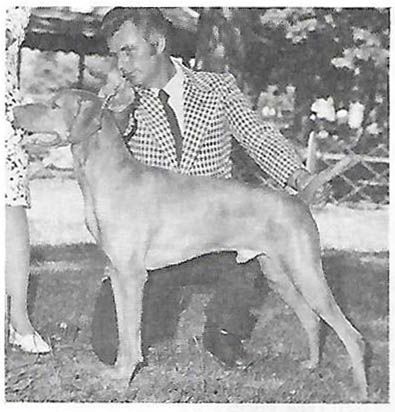 Anton Arany Victorffy